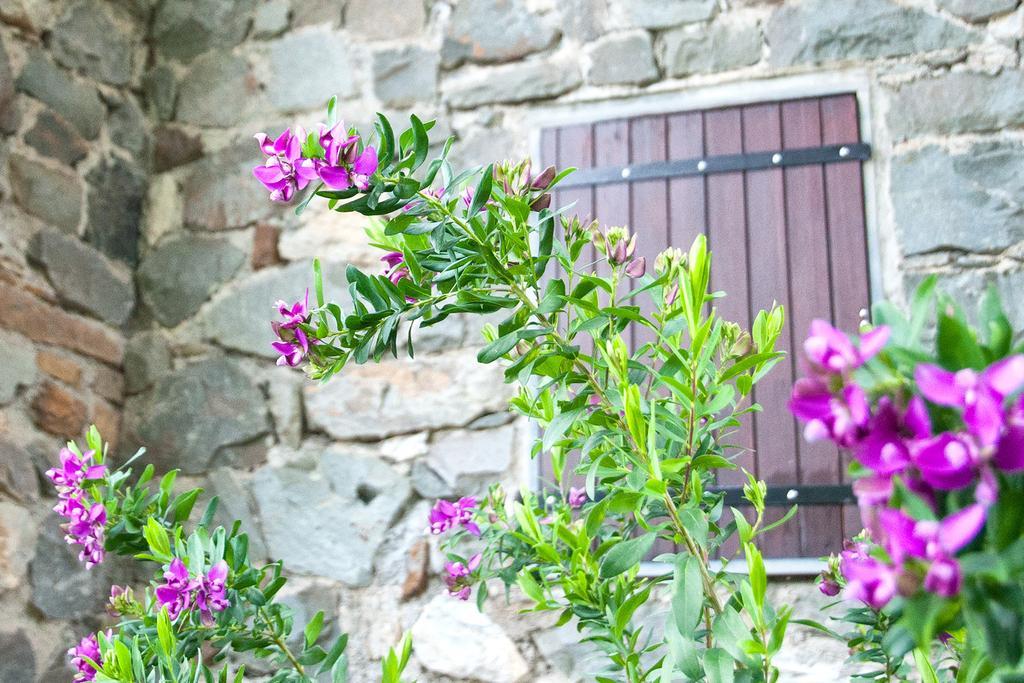 Due Pini Apartamento Corniglia Exterior foto